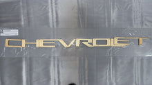 Signature-Line Adhesive TAILGATE INSERTS for Chevrolet SILVERADO 2019+
